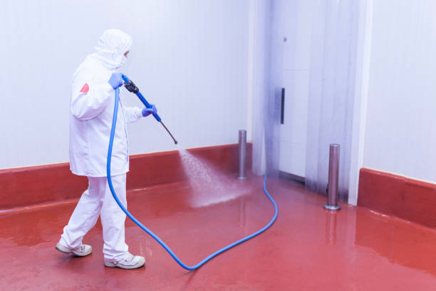 Best Driveway Pressure Washing  in Atlantic, IA