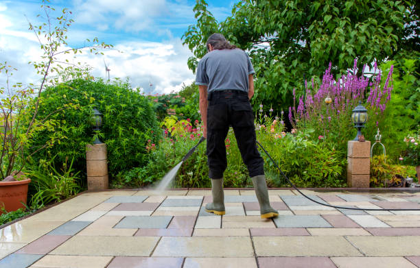 Best Animal Enclosure Cleaning  in Atlantic, IA